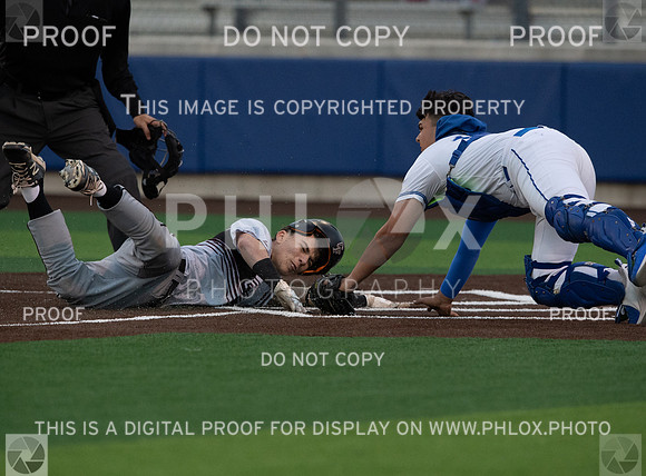 DLS_0609