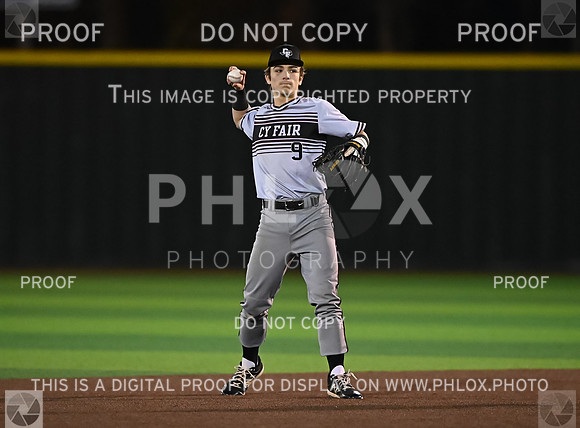 DLS_1037