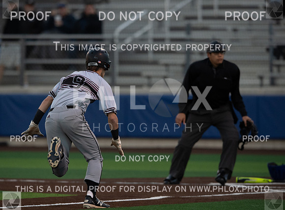 DLS_0606