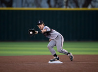 DLS_0746