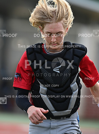 DLS_0398