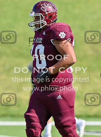 DLS_0782