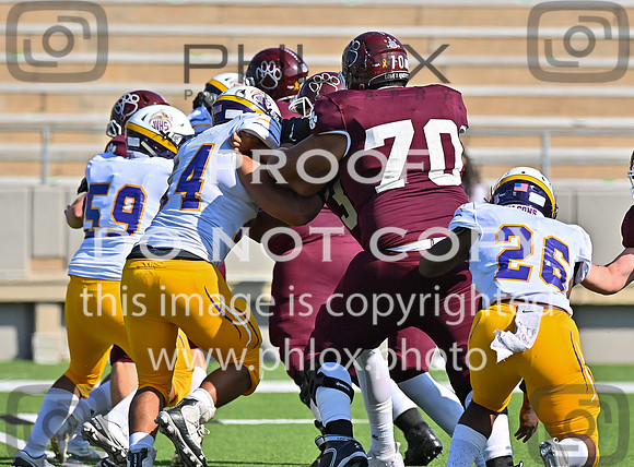 DLS_0766