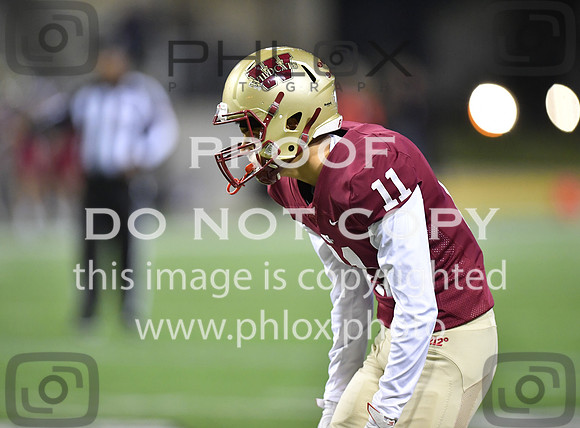 TOM_5709