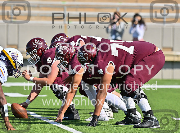 DLS_0763