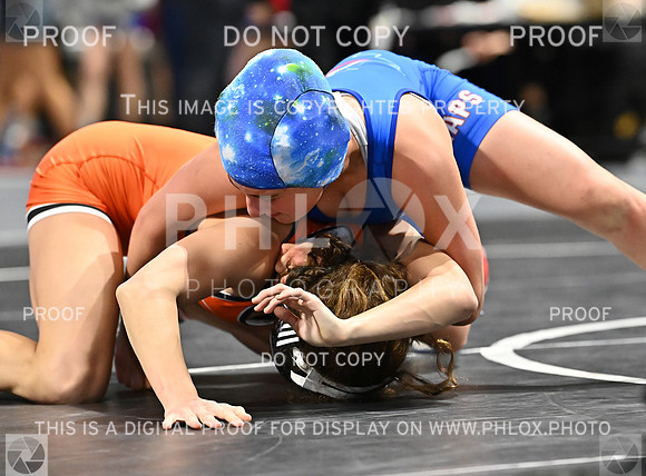 DLS_9163