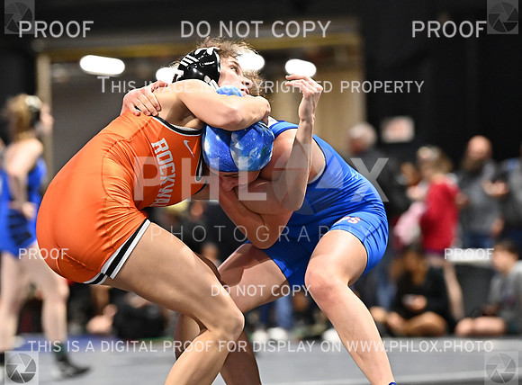 DLS_9178