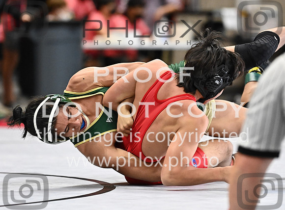 DLS_0225