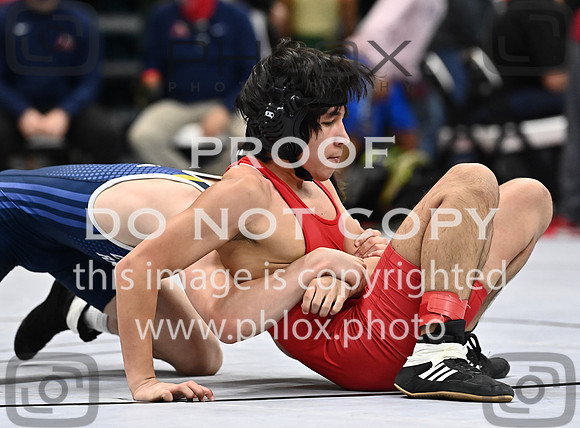 DLS_1435