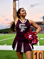 FDS_4309