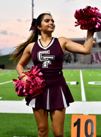 FDS_4282