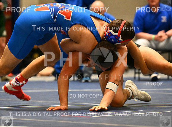 DLS_5726