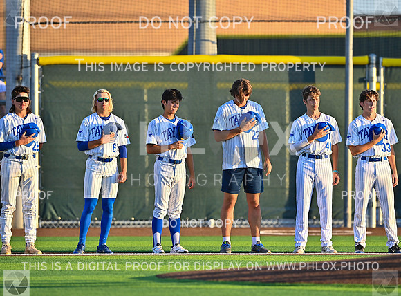 DLS_4094