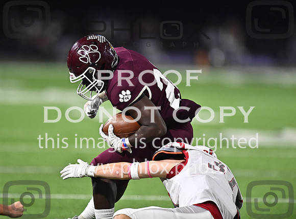 DLS_8775