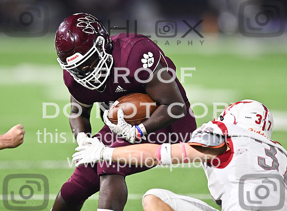 DLS_8774