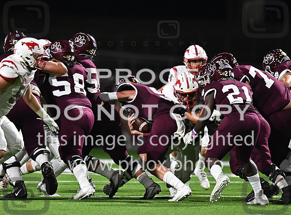 DLS_8473