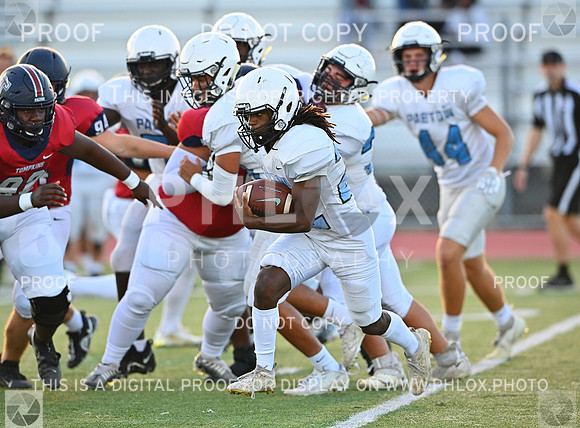 DLS_6891