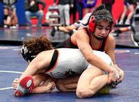 D5A_7218
