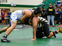 DLS_2422