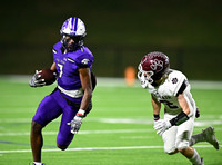 DLS_3609