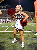 DLS_7196