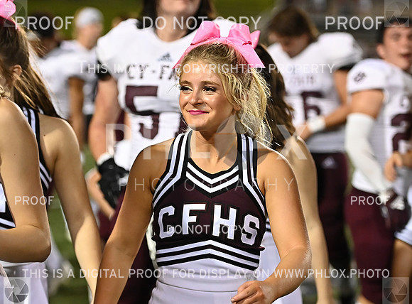 DLS_8462