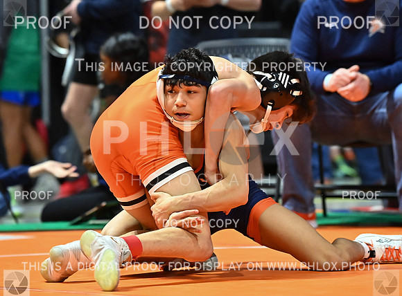 DLS_9258