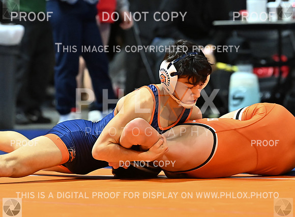 DLS_9270