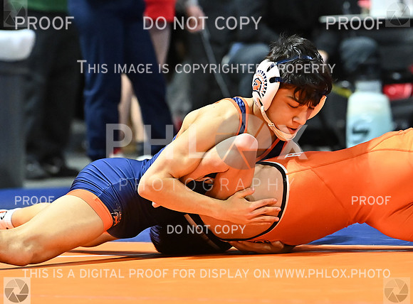 DLS_9267
