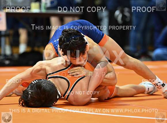 DLS_9248