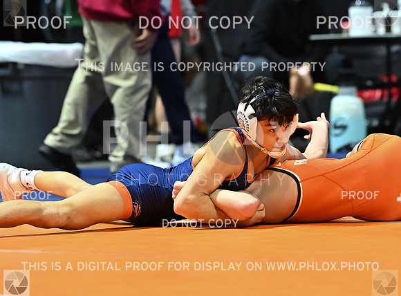 DLS_9274
