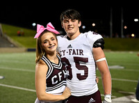DLS_8471