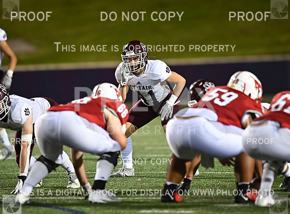 DLS_8052