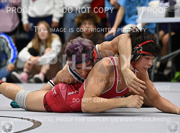 DLS_3645