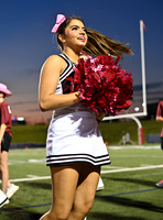 DLS_6840