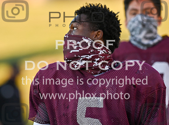 DLS_3708