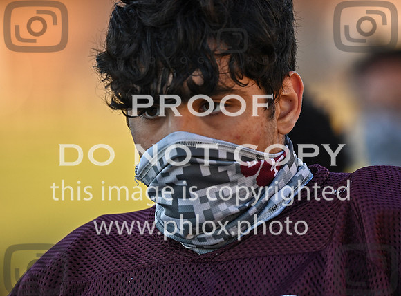 DLS_3713