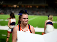 TOM_6931