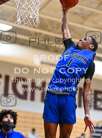 DLS_8198