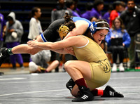 DLS_3000