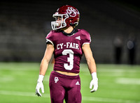 DLS_1727