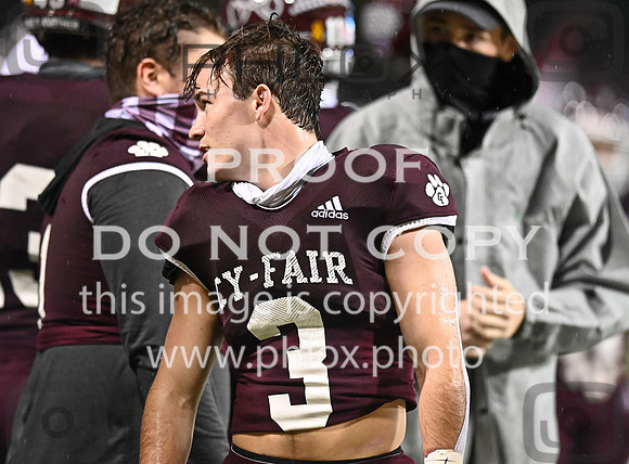 DLS_8778