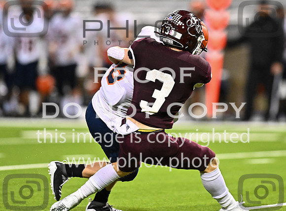 DLS_9184