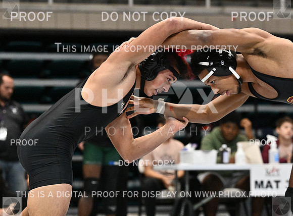 DLS_1198