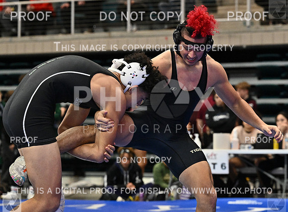 DLS_0530
