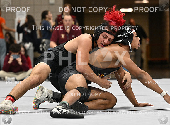 DLS_1224