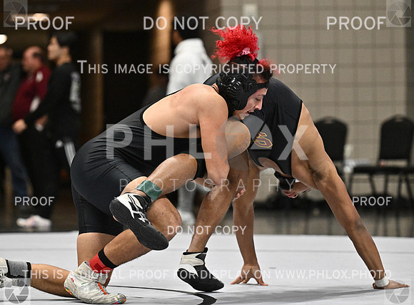 DLS_1147