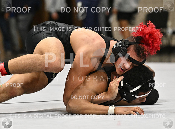 DLS_1164