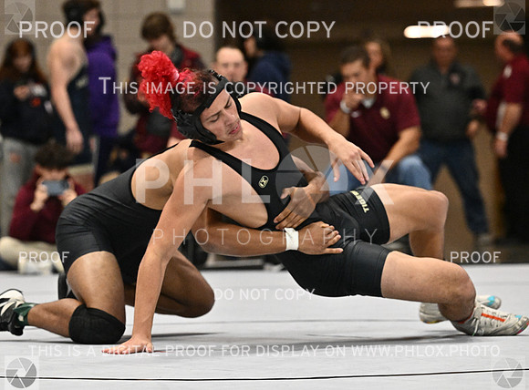 DLS_1192