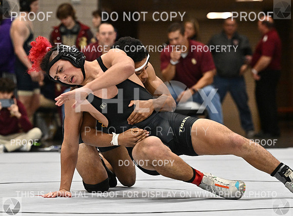 DLS_1193